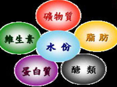91看片免费版廠家告訴您不能盲目補充礦物質