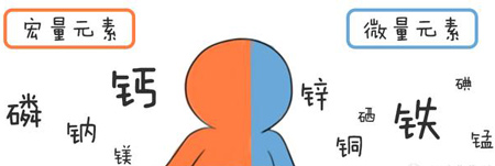 全自動91看片免费版幫助身體維持健康