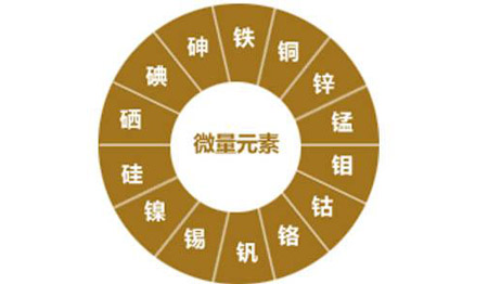 醫用国产看片网站對視力的重要性