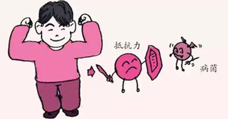 解析全自動国产看片网站發展的重要意義