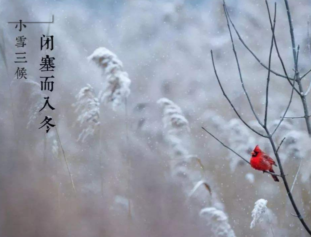 全自動微量分析儀廠家山東9I看片成人免费提示您天冷了，照顧好自己！奧利給