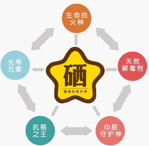 全自動91看片免费版廠家分析硒為何被稱為生命的火種？