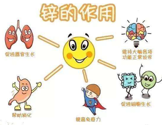 【全自動91看片免费版】廠家9I看片成人免费分析哪些兒童容易發生體內鋅缺乏？