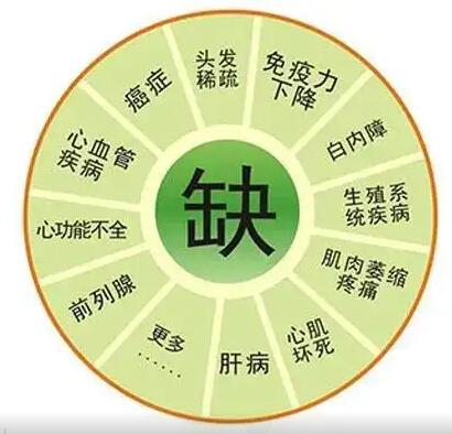 醫用91看片免费版 醫用91看片免费版