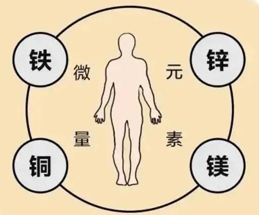 全自動91看片免费版廠家提示原創鐵是身體必須微量元素之一，哪些食物含鐵高呢？